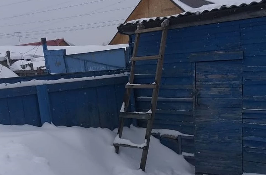 Барнаулец выходит из собственного дома через крышу