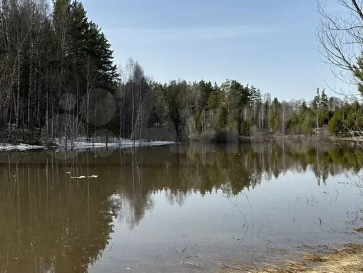 Под Барнаулом нашли землю под новый коттеджный поселок вместо леса