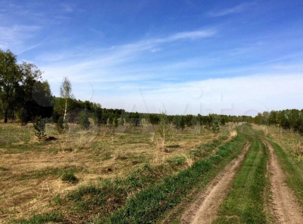 В пригороде Барнаула начали застраивать новый дачный поселок