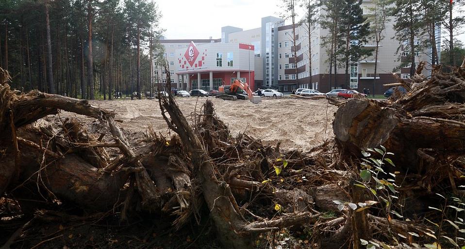 Реликтовый бор на Горе в Барнауле запретят застраивать?